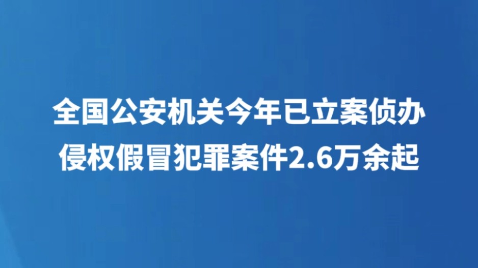 全国公安机关今年已立案侦办侵权假冒犯罪案件2.6万余起