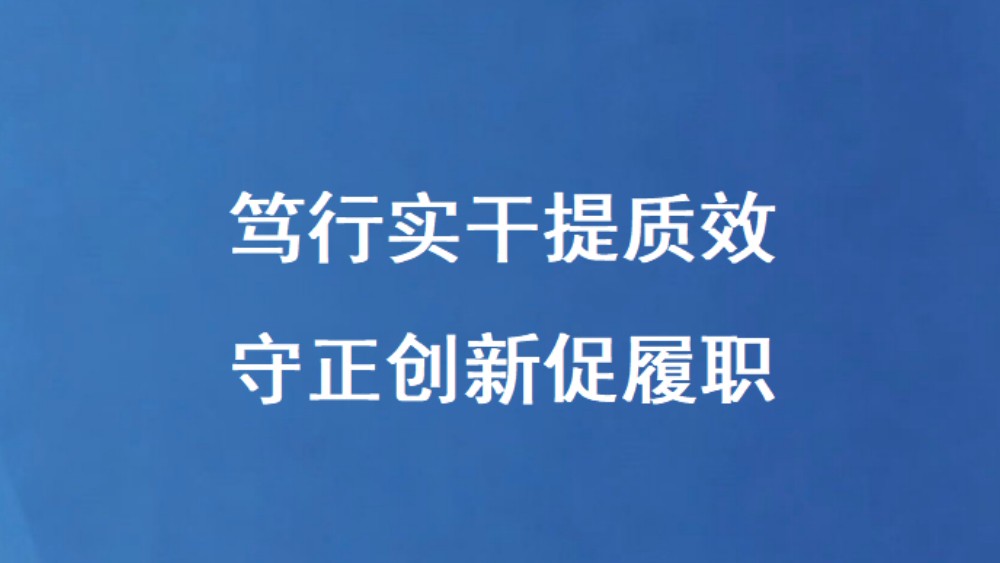 笃行实干提质效 守正创新促履职