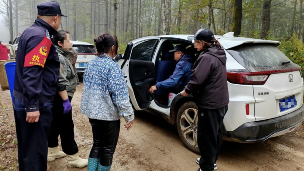组团进山采蘑菇，六旬老人走失！警民联手3小时成功找回
