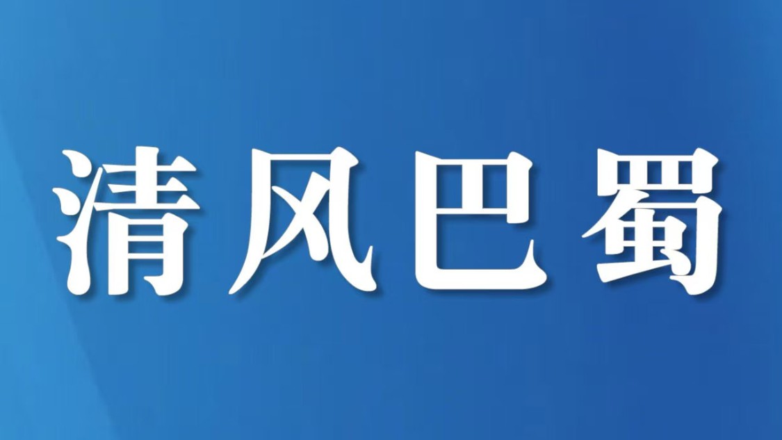 “数字哨兵”守好村集体“钱袋子”