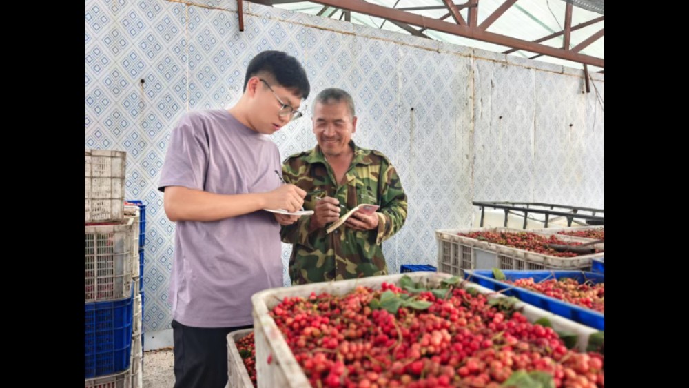 兴边富民 电商赋能吉林边境好物系列之二｜临江苇沙河村：探索边境乡村电商新路径