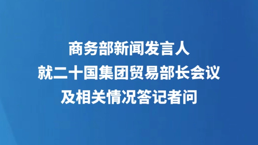 商务部新闻发言人就二十国集团贸易部长会议及相关情况答记者问
