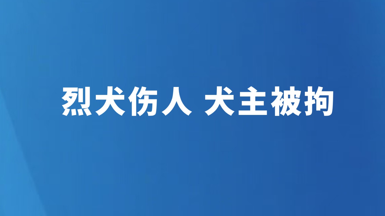 烈犬伤人 犬主被拘