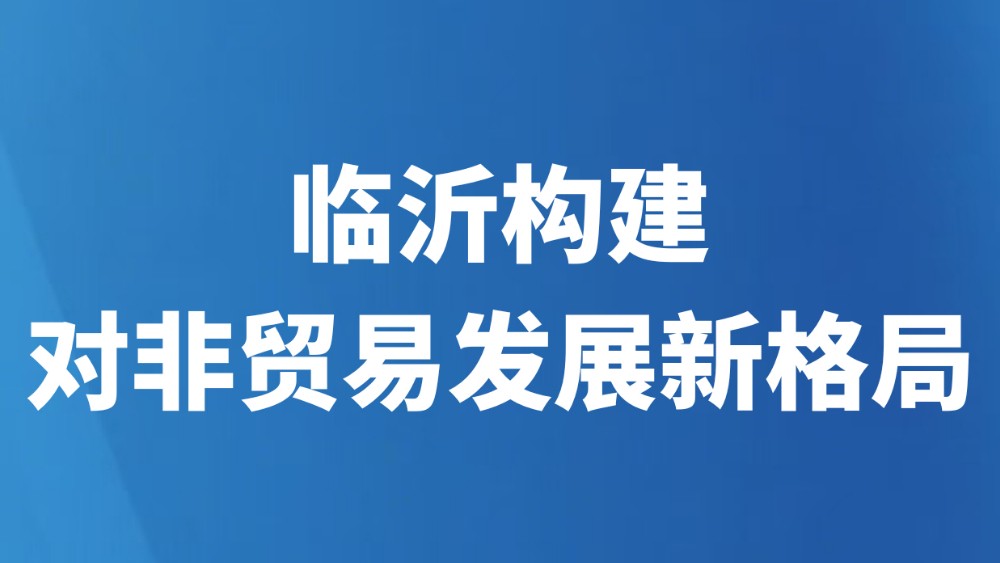 临沂构建对非贸易发展新格局