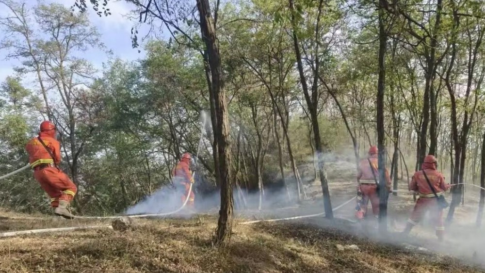 国庆假期进山游客激增！泰安市组织森林防灭火联防联控应急演练