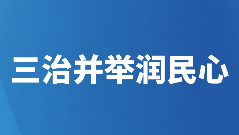 三治并举润民心