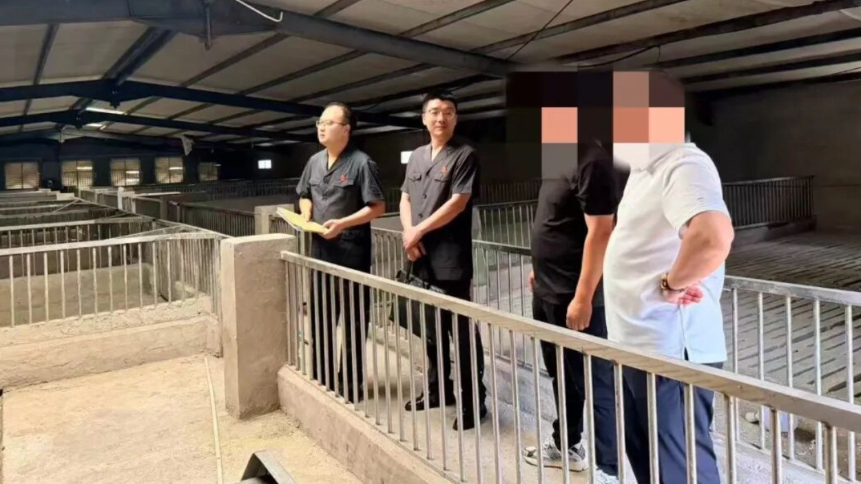 善意执行，护航“猪”事兴旺