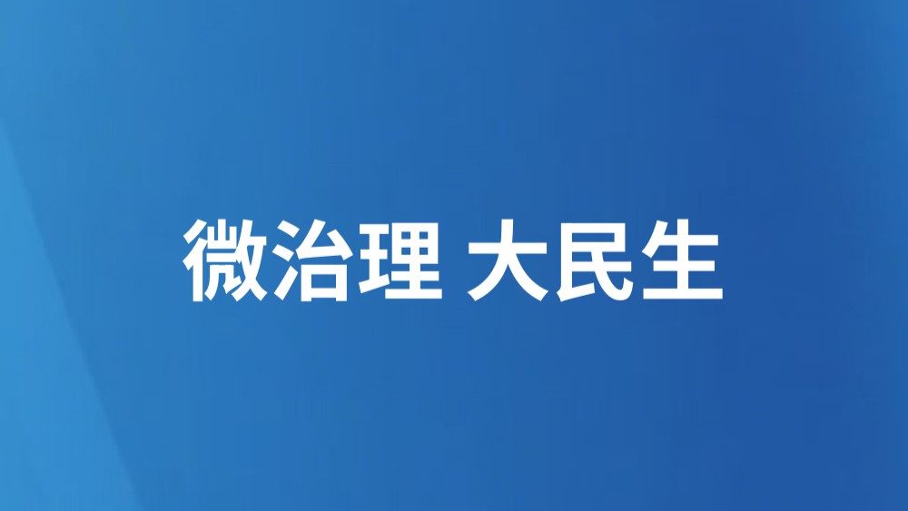 微治理 大民生