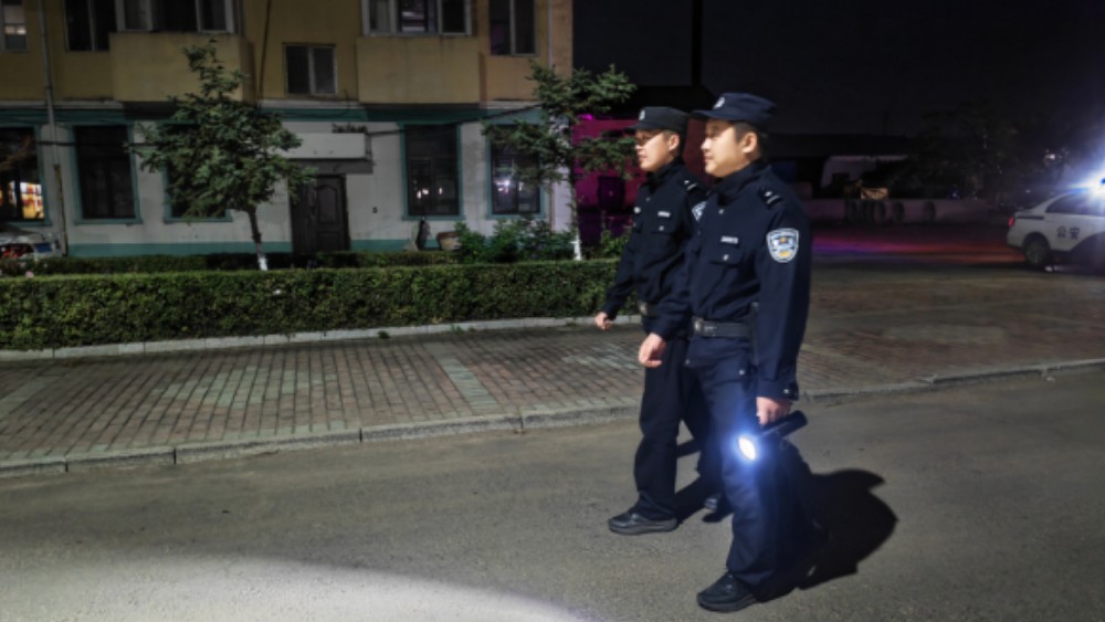 省林区公安局双鸭山分局：夜色为令巡辖区 警灯闪烁护民安