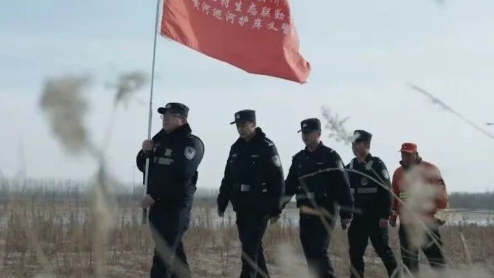 警徽护青绿 林草守安澜