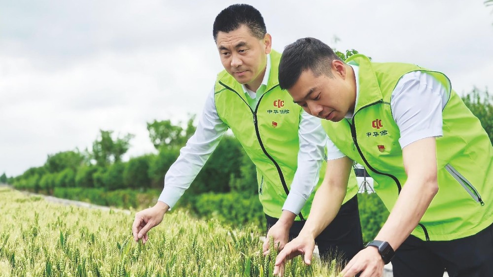 十年党建领航 十年助农笃行