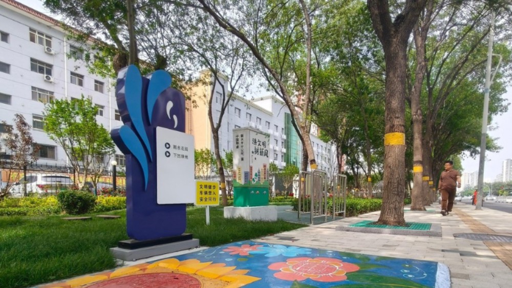 长出“海绵细胞”，让城市会“呼吸”