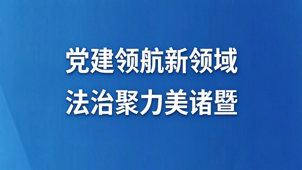 党建领航新领域 法治聚力美诸暨