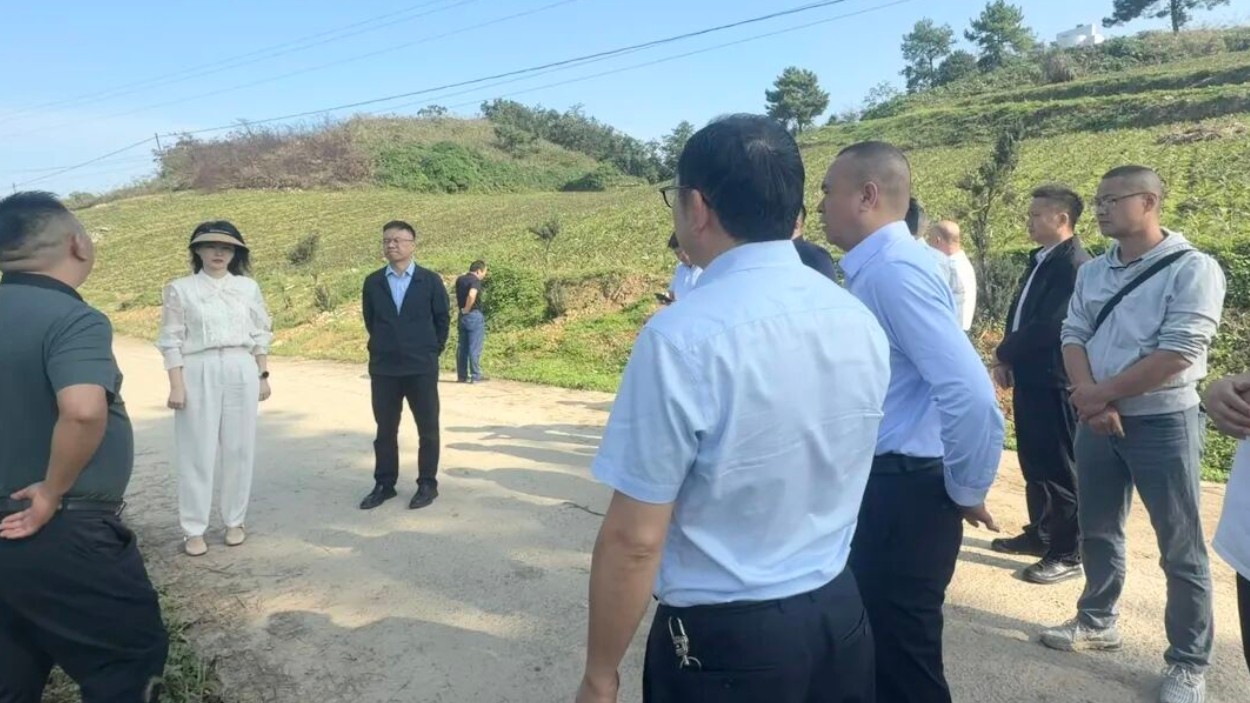 以品牌引领之势 谱蔬菜产业新篇