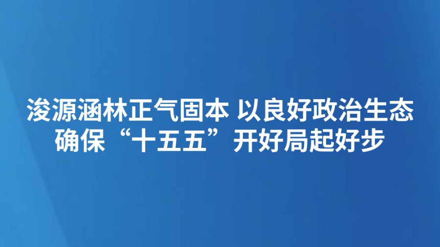 浚源涵林正气固本 以良好政治生态确保“十五五”开好局起好步