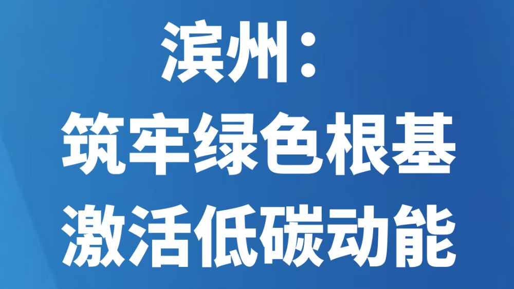 滨州：筑牢绿色根基 激活低碳动能