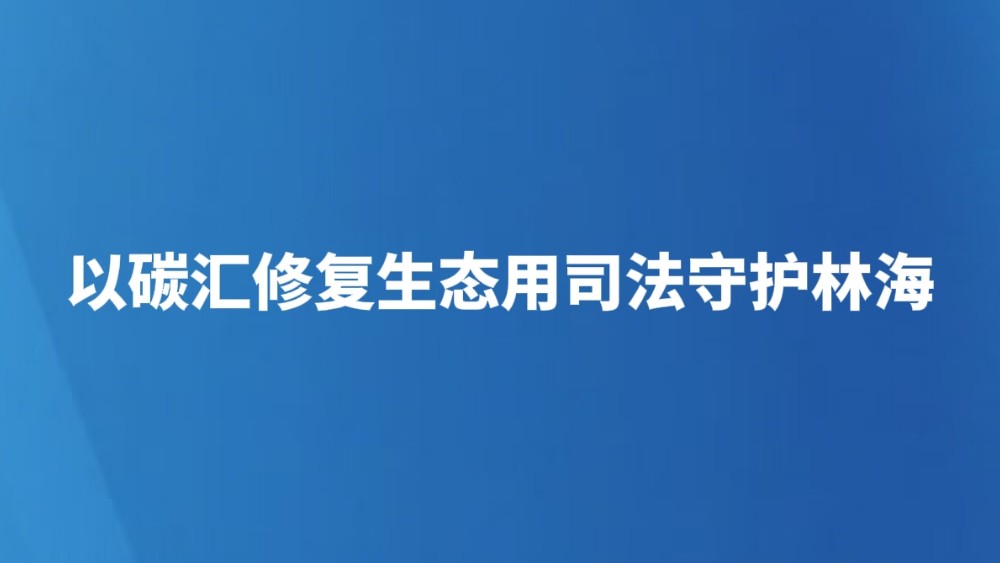 以碳汇修复生态用司法守护林海