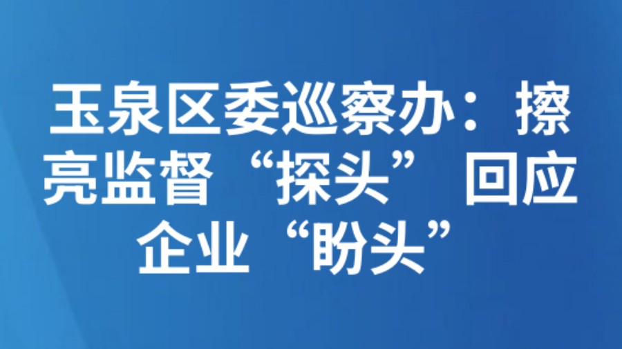 玉泉区委巡察办：擦亮监督“探头” 回应企业“盼头”