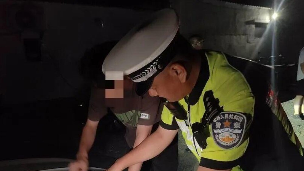 没驾照还租车练手？不光司机被罚，租车老板也跑不掉