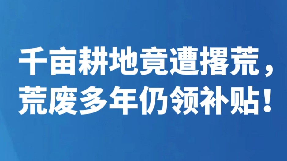 千亩耕地竟遭撂荒，荒废多年仍领补贴！