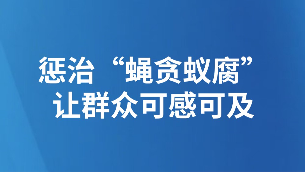 惩治“蝇贪蚁腐” 让群众可感可及