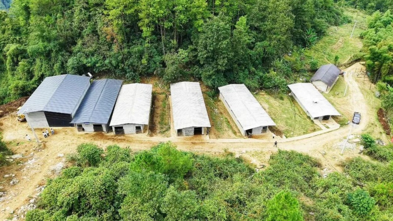 四川万源：山海协作助振兴，生态产业铺富路