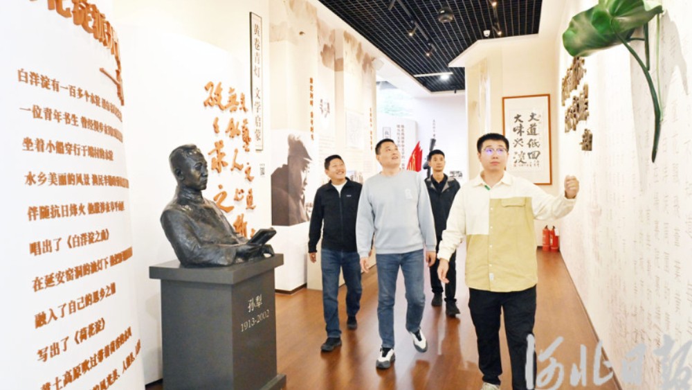 推动河北文化繁荣兴盛实现关键性蝶变系列报道丨传承燕赵文学风骨，书写河北时代新韵