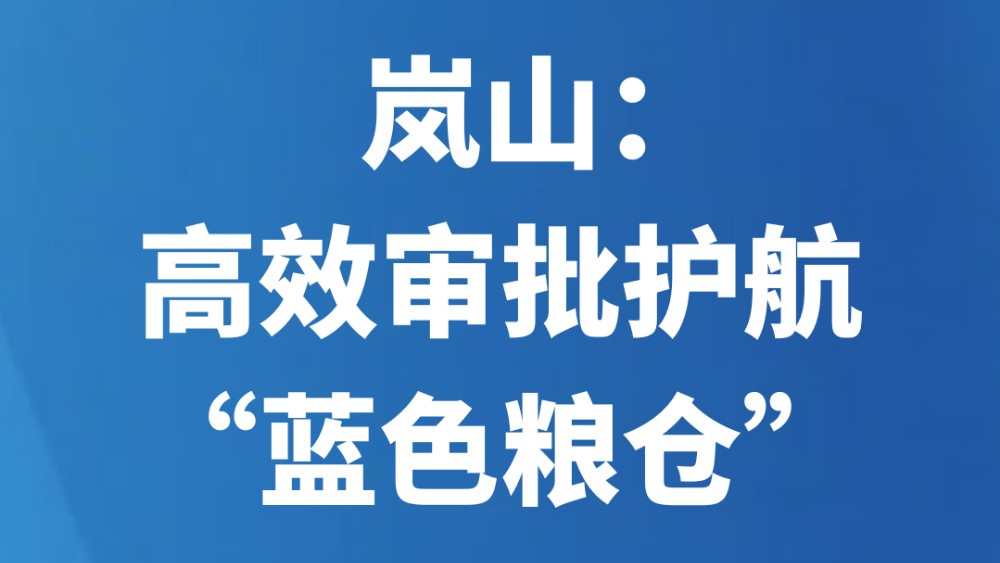岚山：高效审批护航“蓝色粮仓”