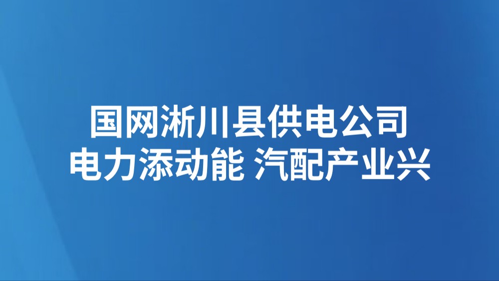 国网淅川县供电公司：电力添动能 汽配产业兴