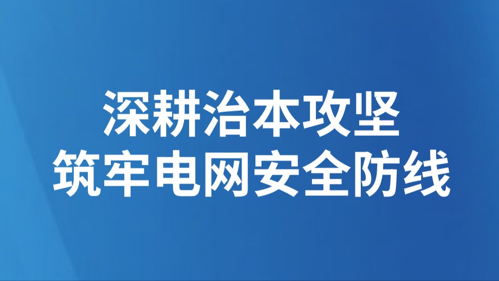 深耕治本攻坚 筑牢电网安全防线