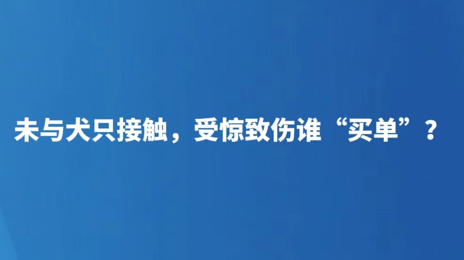 未与犬只接触，受惊致伤谁“买单”？
