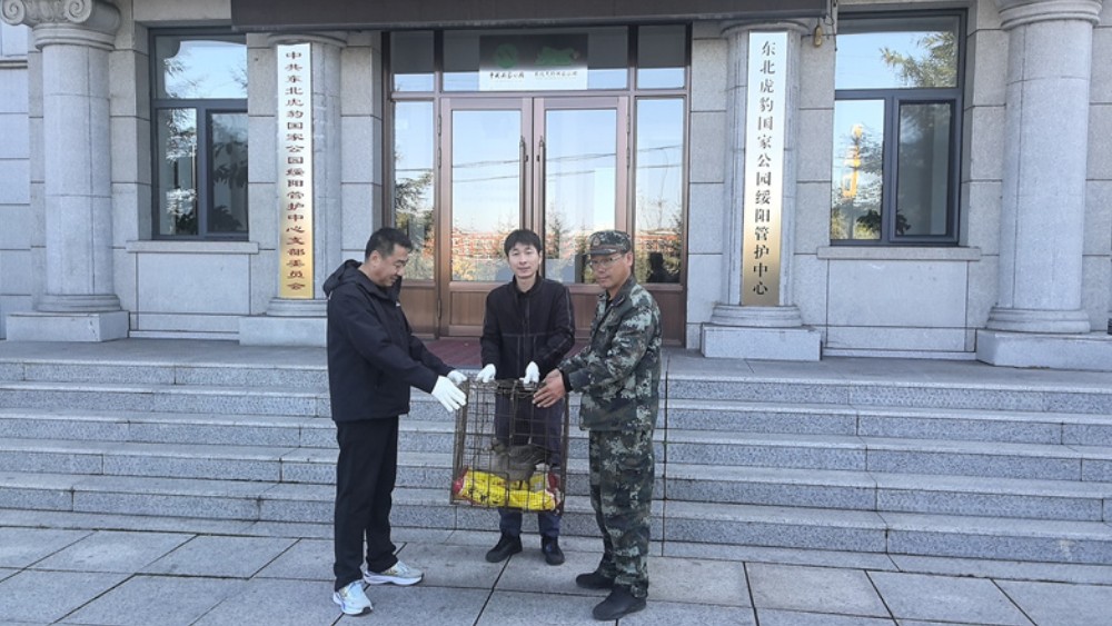 田间偶遇受伤的迁徙豆雁，警民联动救助国家二级保护鸟类