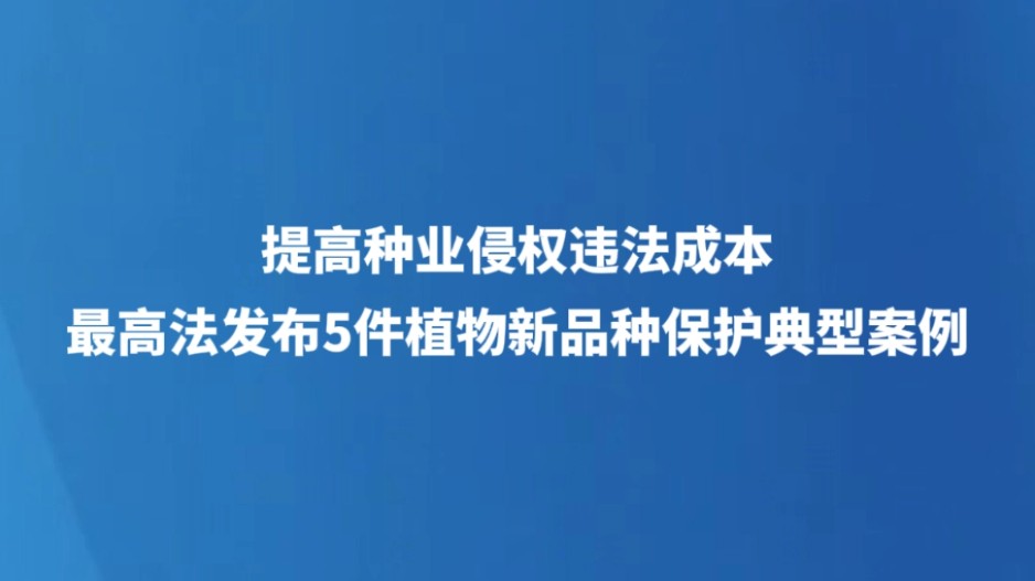 提高种业侵权违法成本 最高法发布5件植物新品种保护典型案例