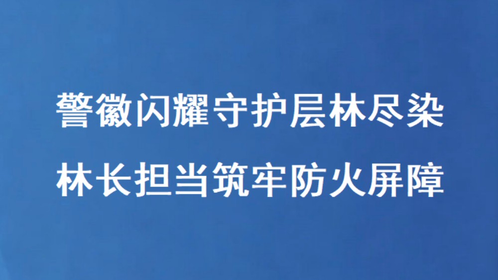 警徽闪耀守护层林尽染 林长担当筑牢防火屏障