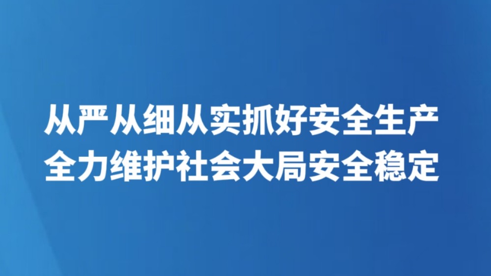从严从细从实抓好安全生产 全力维护社会大局安全稳定