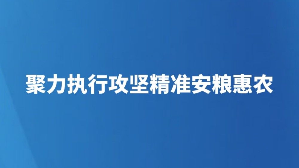 聚力执行攻坚精准安粮惠农