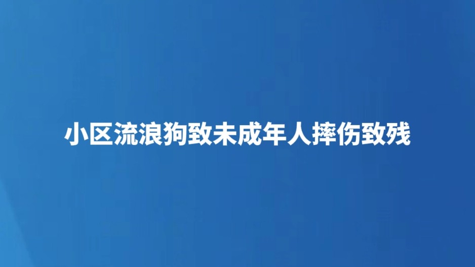 小区流浪狗致未成年人摔伤致残