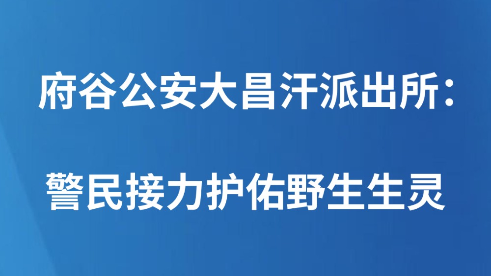 府谷公安大昌汗派出所：警民接力护佑野生生灵