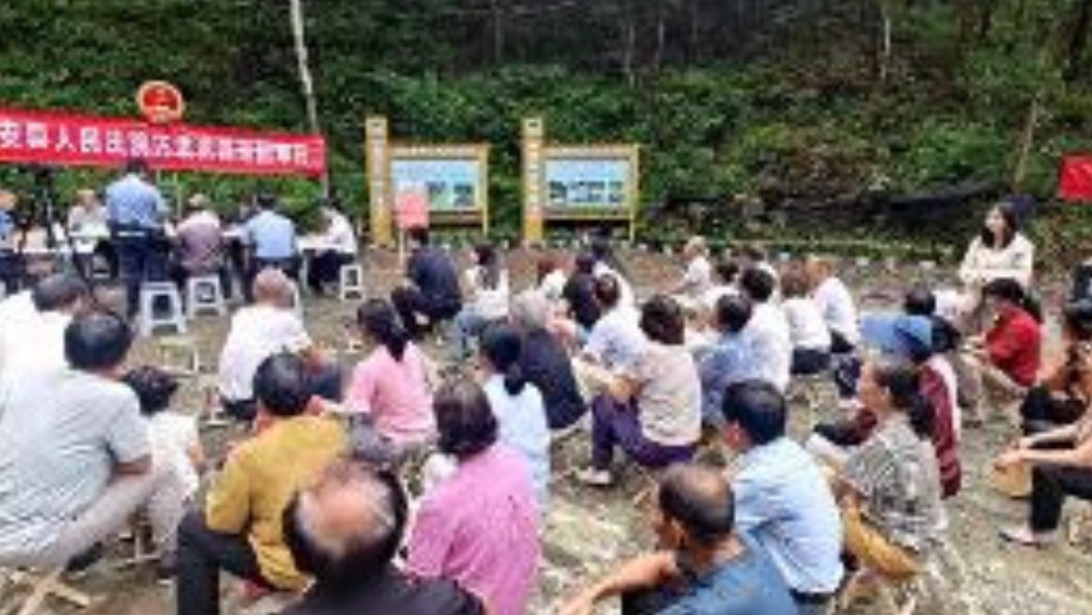 青山绿水间的法治足迹