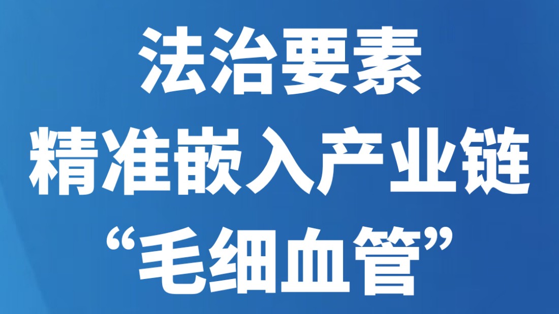 法治要素精准嵌入产业链“毛细血管”