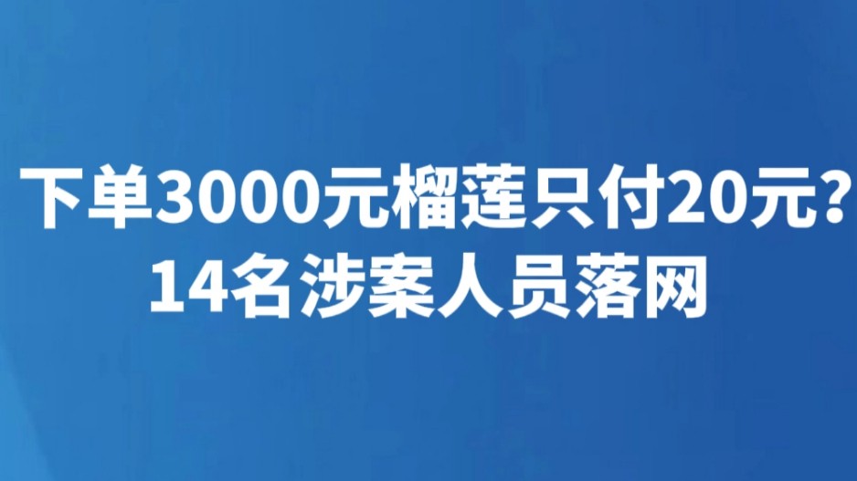 下单3000元榴莲只付20元？14名涉案人员落网