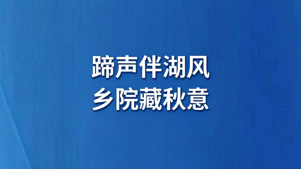 蹄声伴湖风 乡院藏秋意