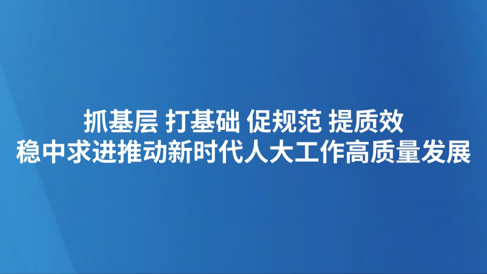 抓基层 打基础 促规范 提质效 稳中求进推动新时代人大工作高质量发展