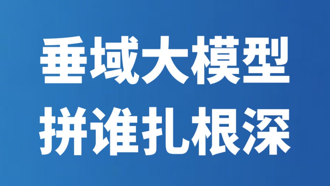 垂域大模型，拼谁扎根深