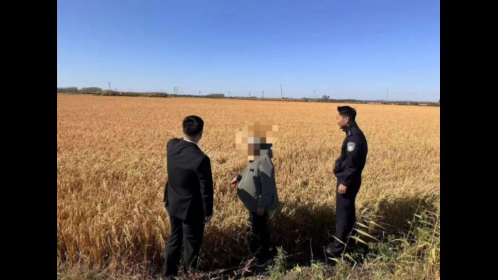 吉林双阳法院：柔性执行护秋收 善意司法暖民心