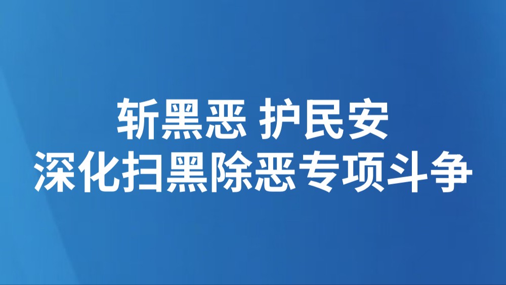 斩黑恶 护民安（深化扫黑除恶专项斗争）