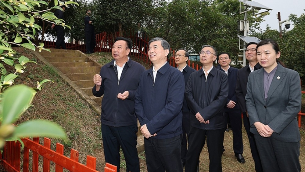 牢记殷殷嘱托 弘扬大别山精神 加快推动革命老区振兴发展