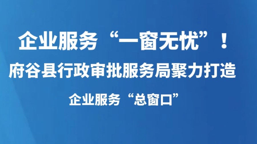 企业服务“一窗无忧”！府谷县行政审批服务局聚力打造企业服务“总窗口”