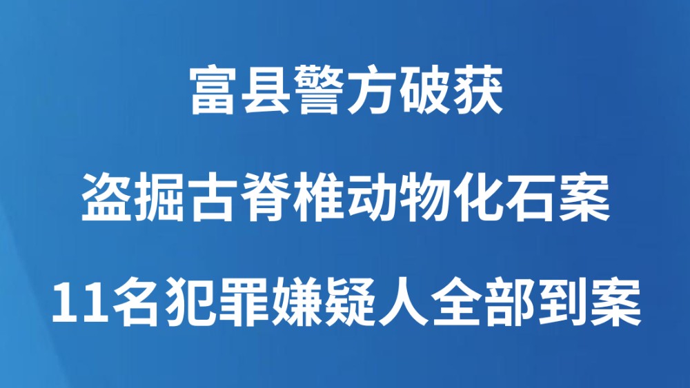 富县警方破获盗掘古脊椎动物化石案 11名犯罪嫌疑人全部到案
