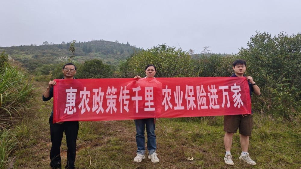 农险服务进乡村 政策红利护振兴 —— 中国太保袁州区支公司开展政策性农业保险新政宣讲